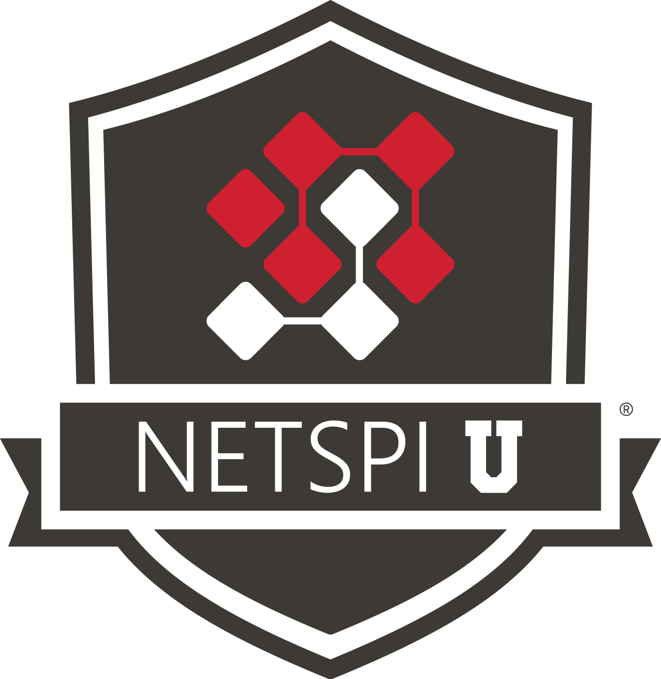 NetSPI U
